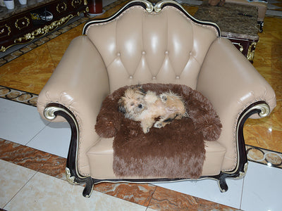 Cama Desmontable y Lavable para Perros con Manta Térmica - Image 22