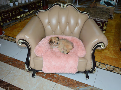 Cama Desmontable y Lavable para Perros con Manta Térmica - Image 24