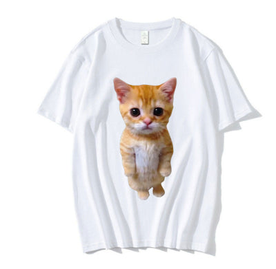 Gatito Triste Llorando - Peluche Munchkin Adorable - Image 23