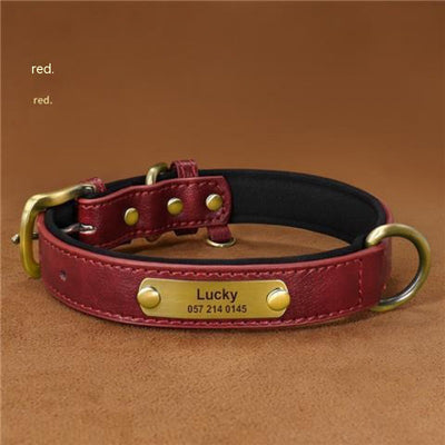 Collar para Perro Personalizado con Grabado Anti-pérdida - Image 10