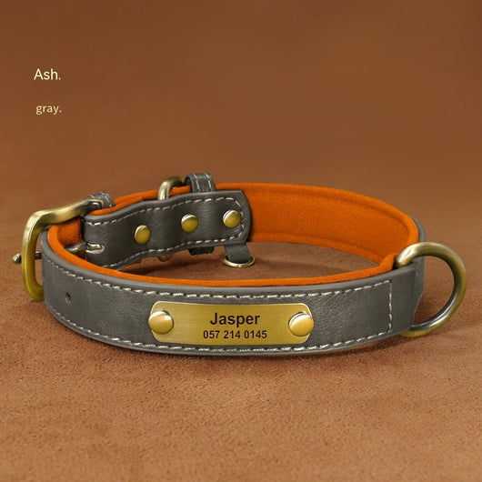 Collar para Perro Personalizado con Grabado Anti-pérdida - Image 11