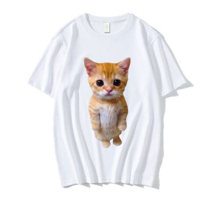 Gatito Triste Llorando - Peluche Munchkin Adorable - Image 29