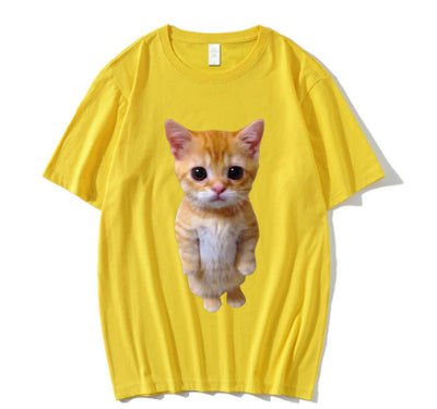 Gatito Triste Llorando - Peluche Munchkin Adorable - Image 31