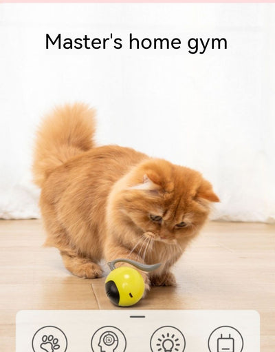 Yellow electric cat toy ball with a black face, glowing blue eyes and whiskers, and a grey tail attachment. - Image 23