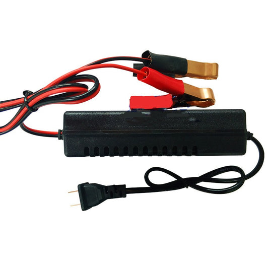 Cargador Inteligente 12V 3A para Motos y Vehículos Eléctricos - Image 12