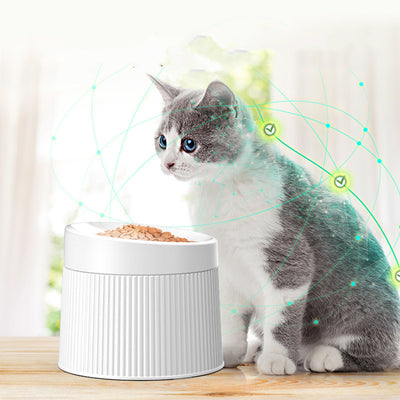Comedero Elevado Antivolcamiento para Gatos con Gran Capacidad y Protección Cervical - Image 16