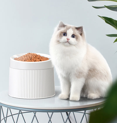 Comedero Elevado Antivolcamiento para Gatos con Gran Capacidad y Protección Cervical - Image 17