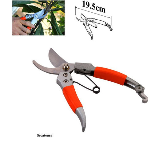 Kit Completo de Herramientas para Bonsái y Jardinería con Bolsa de Transporte - Image 14