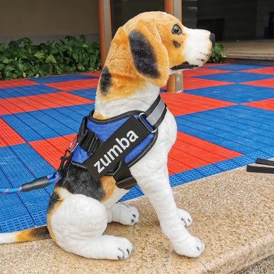 Arnés Reflectante Personalizado para Perro con Correa Ajustable y Transpirable - Image 11