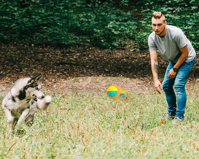 Yellow, orange, and teal pet toy with a black retractable rope, designed for throwing, chewing, and training dogs. - Image 12