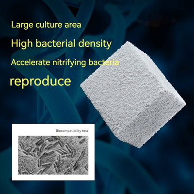 Cubo de Cultivo Bacteriano con Material Filtrante - Image 9