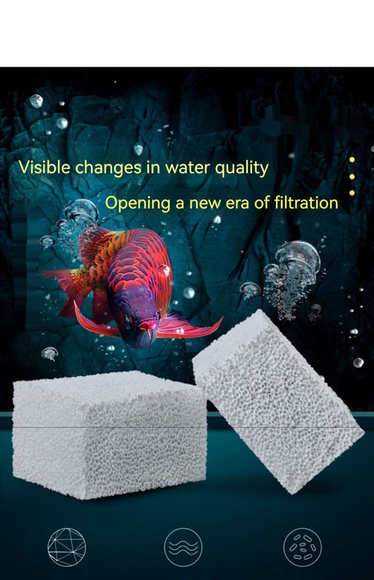 Cubo de Cultivo Bacteriano con Material Filtrante - Image 15
