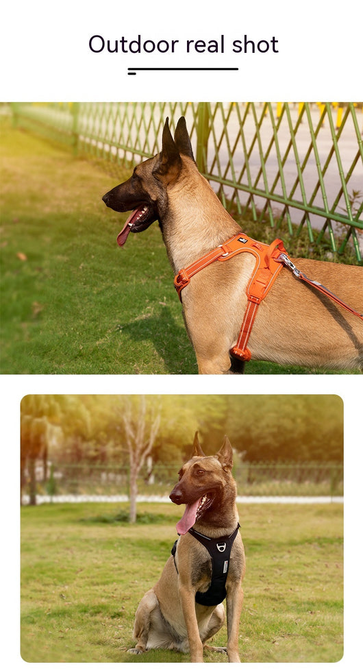 Arnés Reflectante para Perros con Cuerda de Sujeción - Image 17