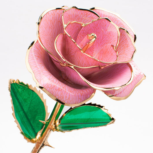 Rosa Dorada 24K con Caja de Regalo - Presente Perfecto para San Valentín - Image 22