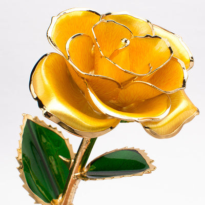 Rosa Dorada 24K con Caja de Regalo - Presente Perfecto para San Valentín - Image 26