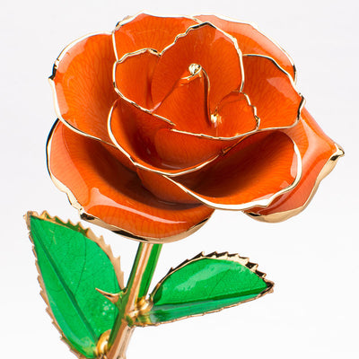 Rosa Dorada 24K con Caja de Regalo - Presente Perfecto para San Valentín - Image 28