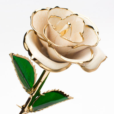 Rosa Dorada 24K con Caja de Regalo - Presente Perfecto para San Valentín - Image 29