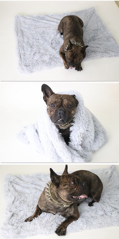 Mantas de Abrigo para Perros y Gatos - Image 16