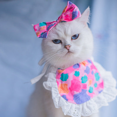 Babero Pañoleta Encaje Gato Estilo Princesa con Decoración - Image 53