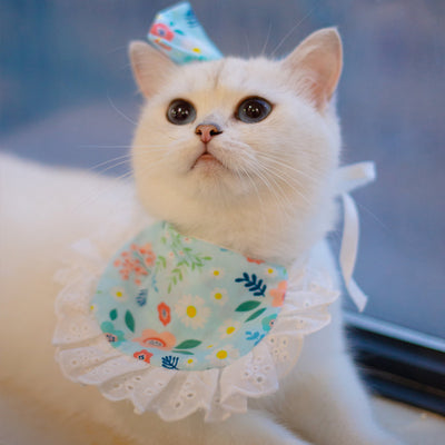 Babero Pañoleta Encaje Gato Estilo Princesa con Decoración - Image 54