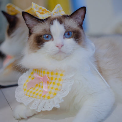 Babero Pañoleta Encaje Gato Estilo Princesa con Decoración - Image 55