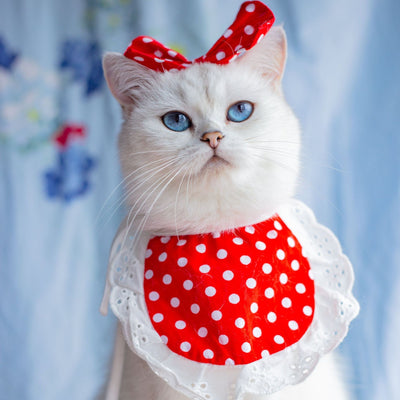 Babero Pañoleta Encaje Gato Estilo Princesa con Decoración - Image 60