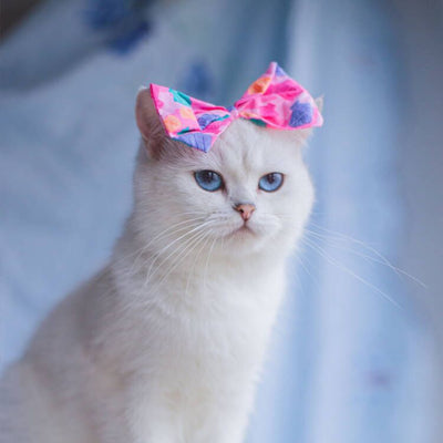Babero Pañoleta Encaje Gato Estilo Princesa con Decoración - Image 78