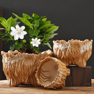 Maceta Cerámica Grande con Diseño de Raíces - Ideal para Suculentas y Plantas - Image 16