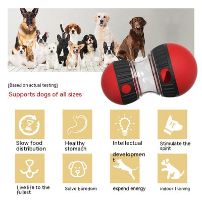 Teal and yellow food dispensing dog toy with a clear middle section and treat holes, designed for slow feeding. - Image 10