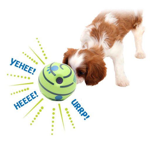 Juguete Molar para Perros - Image 12