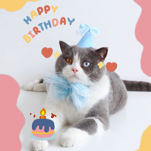 Disfraz de Fiesta para Gatos con Sombrero, Pajarita y Flores - Image 13