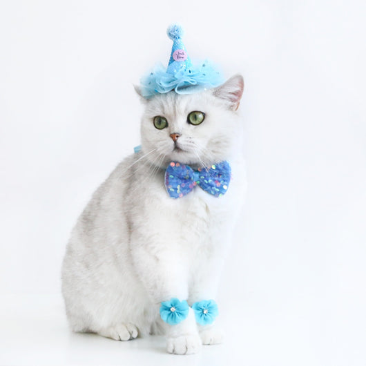 Disfraz de Fiesta para Gatos con Sombrero, Pajarita y Flores - Image 17