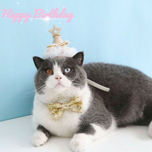 Disfraz de Fiesta para Gatos con Sombrero, Pajarita y Flores - Image 27