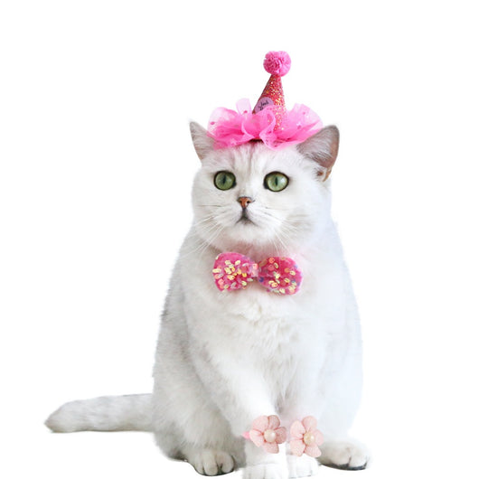 Disfraz de Fiesta para Gatos con Sombrero, Pajarita y Flores - Image 41