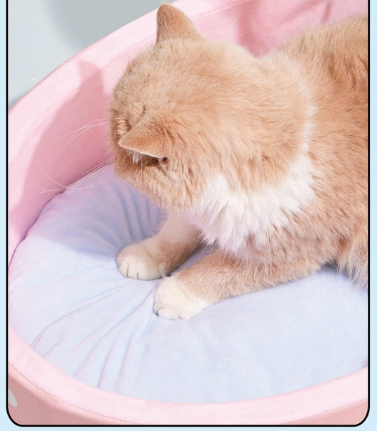 Pink polka dot pet bed shaped like a bathtub with a yellow showerhead toy and blue streamers, plus a blue striped 'towel'. - Image 13