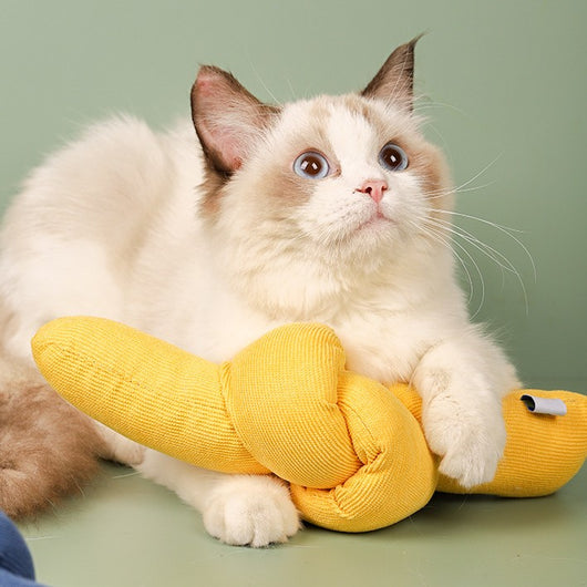 Light green knotted cat toy with a ribbed texture and a small tag, designed for biting and play. - Image 22