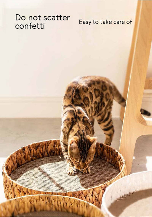 Nido Cálido para Gatos con Rascador de Ratán Invierno - Image 10