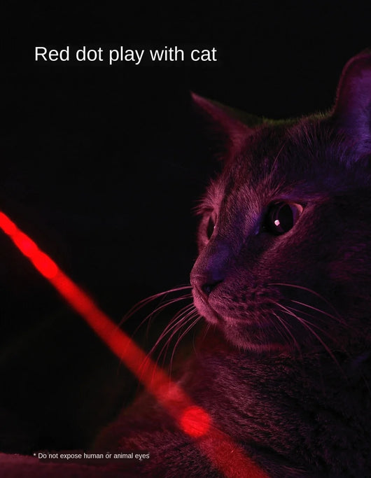 White cat-shaped laser toy with gold eye and red light, alongside a light blue smart rolling ball cat toy. - Image 18