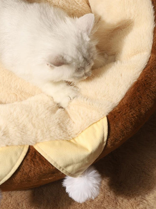 Cama Térmica para Gatos - Nido Acogedor Invierno - Image 20