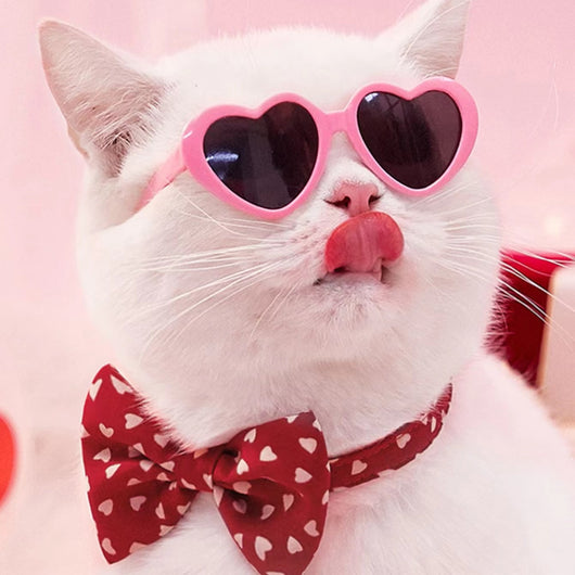 Gafas de Sol para Mascotas y Muñecas - Accesorios Divertidos - Image 10