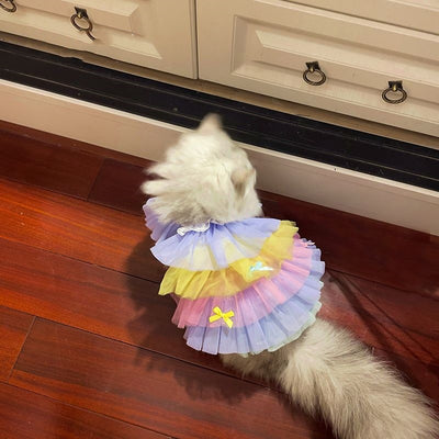 Vestido de Encaje Mesh para Mascotas - Ropa Elegante para Gatos y Perros - Image 12