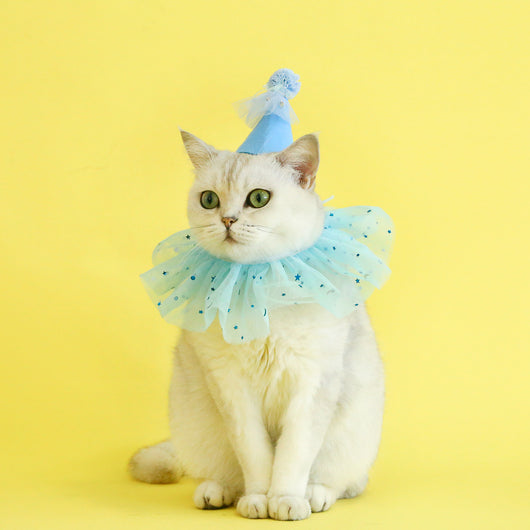 Conjunto de Accesorios para Mascotas: Falda de Tul con Lentejuelas, Babero de Encaje y Sombrero de Fieltro - Image 24