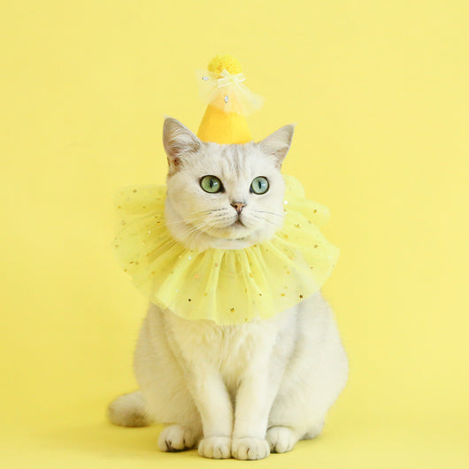 Conjunto de Accesorios para Mascotas: Falda de Tul con Lentejuelas, Babero de Encaje y Sombrero de Fieltro - Image 25