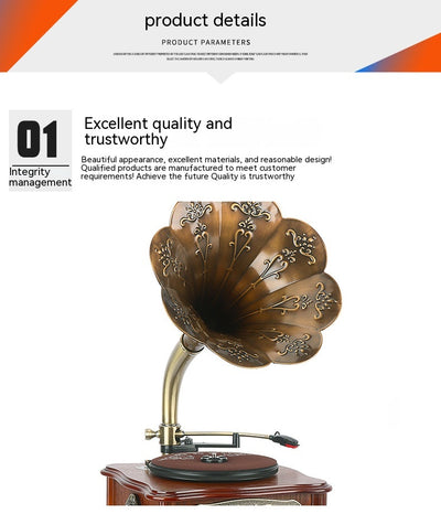 Tocadiscos Retro Petunia con Bluetooth y Audio Premium - Image 11