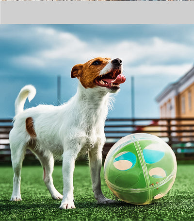Clear round dog puzzle toy with four compartments, two holding green tennis balls and two holding blue squeaky balls. - Image 7