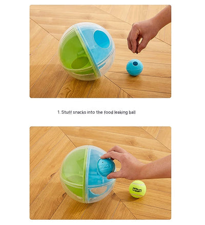 Clear round dog puzzle toy with four compartments, two holding green tennis balls and two holding blue squeaky balls. - Image 8