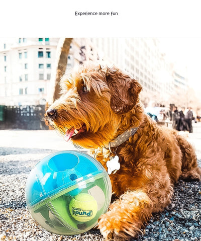 Clear round dog puzzle toy with four compartments, two holding green tennis balls and two holding blue squeaky balls. - Image 10