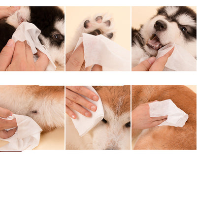 Toallitas Húmedas para Mascotas - Image 7