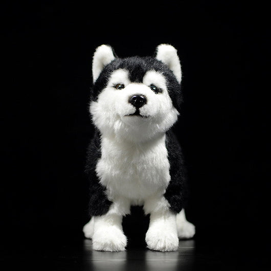Peluche Husky de Ojos Mandarina - Juguete Perro Trineo - Image 8