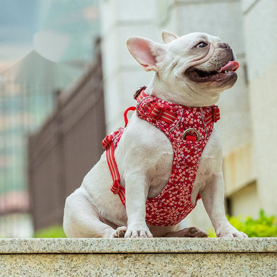 Arnés Pectoral para Perros con Diseño Floral - Tracción Resistente - Image 12